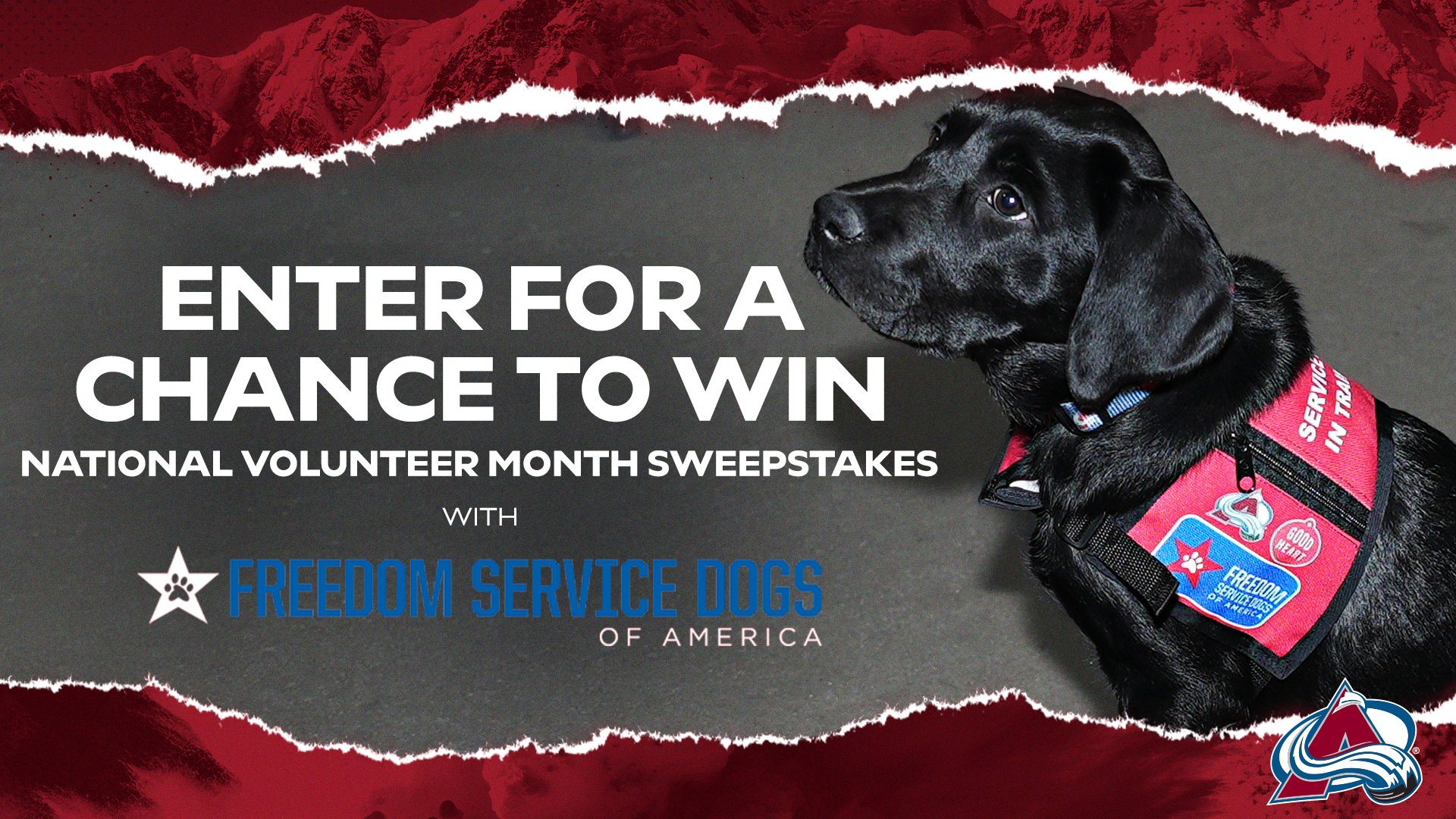 Freedom Service Dogs Enter to Win